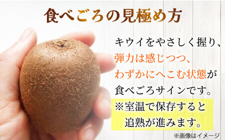 【★先行予約★ 2026年1月中旬より発送】博多甘熟娘(うれっこ) ヘイワードキウイ 約1.8kg（15玉） / キウイ 果物[AFAB076]