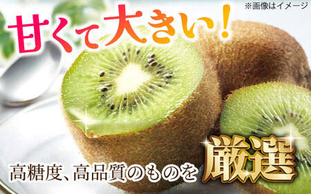 【★先行予約★ 2026年1月中旬より発送】博多甘熟娘(うれっこ) ヘイワードキウイ 約3.6kg / キウイ[AFAB077]