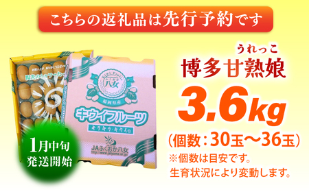 【★先行予約★ 2026年1月中旬より発送】博多甘熟娘(うれっこ) ヘイワードキウイ 約3.6kg / キウイ[AFAB077]