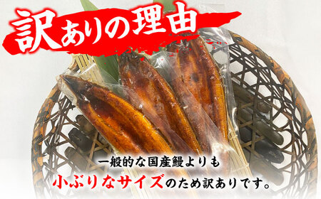 【訳あり】国産鰻（100g×3尾） / 鰻 うなぎ ウナギ 国産鰻 わけありうなぎ ワケアリ うなぎ ウナギ 鰻 国産鰻[AFBS009] 鰻 うなぎ 鰻