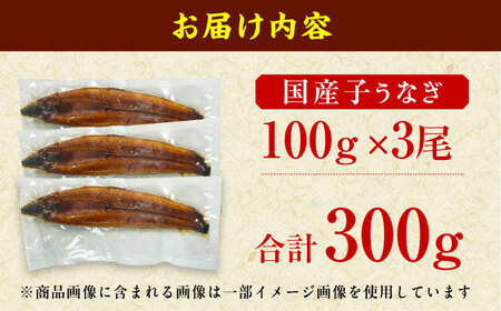 【訳あり】国産鰻（100g×3尾） / 鰻 うなぎ ウナギ 国産鰻 わけありうなぎ ワケアリ うなぎ ウナギ 鰻 国産鰻[AFBS009] 鰻 うなぎ 鰻