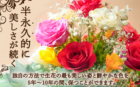 ボトルフラワー S-B / 花 ドライフラワー[AFAW020]