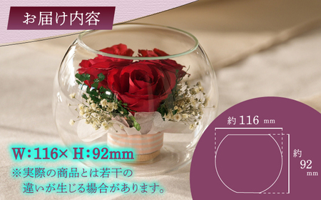 ボトルフラワー S-B / 花 ドライフラワー[AFAW020]