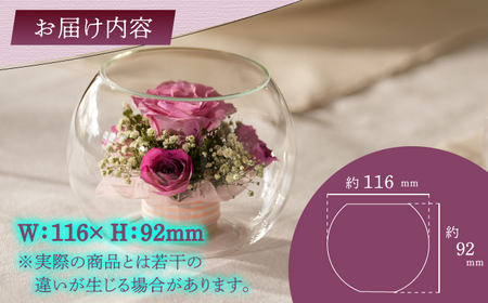 ボトルフラワー S-C / 花 ドライフラワー[AFAW021]