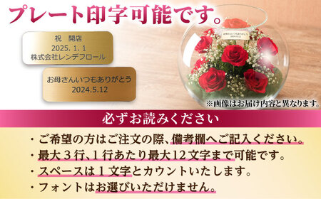 【プレート対応可】ボトルフラワー AS-D / 花 ドライフラワー[AFAW011]