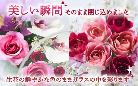 【プレート対応可】ボトルフラワー AS-D / 花 ドライフラワー[AFAW011]