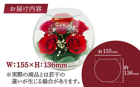 【プレート対応可】ボトルフラワー AS-D / 花 ドライフラワー[AFAW011]