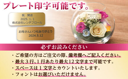 【プレート対応可】ボトルフラワー AS-E / 花 ドライフラワー[AFAW012]