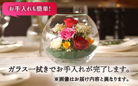 【プレート対応可】ボトルフラワー AS-E / 花 ドライフラワー[AFAW012]