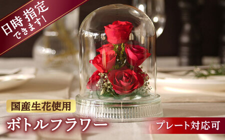 【プレート対応可】ボトルフラワー G-W / 花 ドライフラワー[AFAW013]