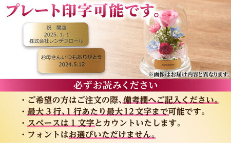 【プレート対応可】ボトルフラワー G-W / 花 ドライフラワー[AFAW013]