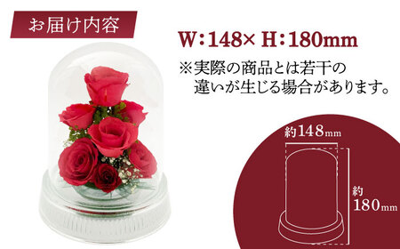 【プレート対応可】ボトルフラワー G-W / 花 ドライフラワー[AFAW013]