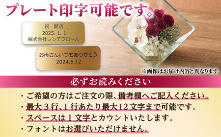 【プレート対応可】ボトルフラワー XA-D / 花 ドライフラワー[AFAW017]