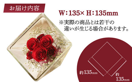 【プレート対応可】ボトルフラワー XA-D / 花 ドライフラワー[AFAW017]