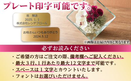 【プレート対応可】ボトルフラワー XA-I / 花 ドライフラワー[AFAW019]