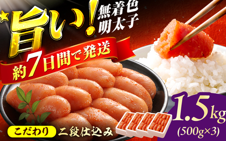 辛子明太子1.5kg【無着色・二段仕込】（500g×3箱） / めんたいこ 明太子 スピード配送[AFBY014]