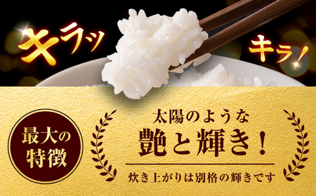 令和7年産 ヒノヒカリ 5kg / ヒノヒカリ[AFAK306]