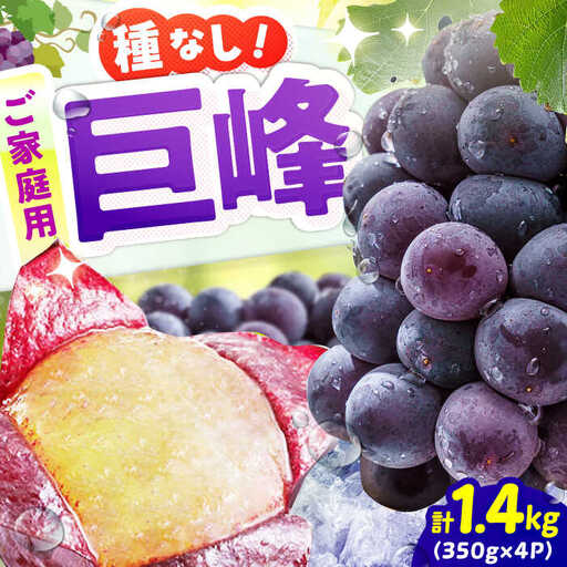 【★先行予約★ 2026年7月下旬より発送】【ご家庭用】種無し巨峰 約350g×4P / ぶどう 巨峰 果物[AFAB086]