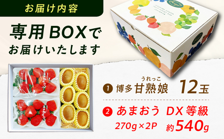フルーツ詰合せ（あまおうDX 2パック＆キウイ12個） / フルーツ ギフト[AFAB087]