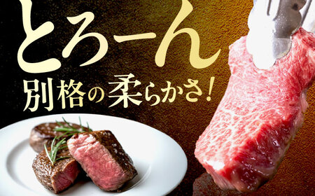 博多和牛シャトーブリアン 400g（100g×4） 広川町 / 肉のくまもと屋株式会社[AFCN003]