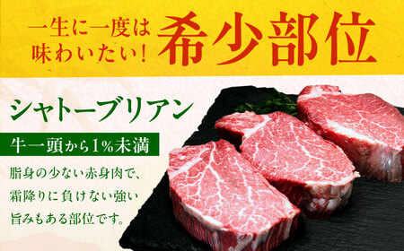 博多和牛シャトーブリアン 300g（150g×2） 広川町 / 肉のくまもと屋株式会社[AFCN005]