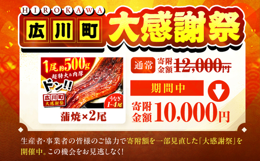 【新登場＆大感謝祭】【1尾約500g】超特大うなぎ蒲焼×2尾　広川町 / 株式会社イールファクトリー[AFBS032]