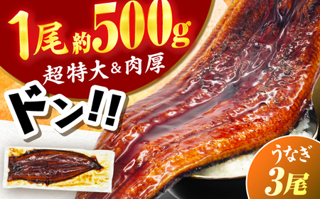 【新登場】【1尾約500g】超特大うなぎ蒲焼×3尾　広川町 / 株式会社イールファクトリー[AFBS033]