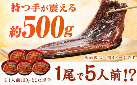 【新登場】【1尾約500g】超特大うなぎ蒲焼×4尾　広川町 / 株式会社イールファクトリー[AFBS034]