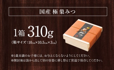 極 巣みつ 310g 国産 純粋蜂蜜 巣蜜 コムハニー 蜂の巣 ハチミツ