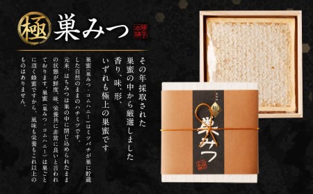 極 巣みつ 310g 国産 純粋蜂蜜 巣蜜 コムハニー 蜂の巣 ハチミツ