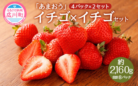 【2023年1月上旬より順次発送予定】先行予約 あまおう×あまおうセット 約2.1kg