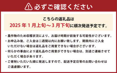 ギフト配送 約450g×2パック 計900g EX 福岡県産 あまおう 特別栽培【2025年1月上旬から3月下旬発送予定】 いちご 苺 イチゴ ベリー 果物 フルーツ お取り寄せ デザート おやつ