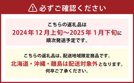 博多あまおう（冬） 約250g～270g×2パック 計約500g～540g【2024年12月上旬～2025年1月下旬発送予定】いちご 苺 イチゴ 果物 フルーツ