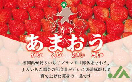 博多あまおう（冬） 約250g～270g×2パック 計約500g～540g【2024年12月上旬～2025年1月下旬発送予定】いちご 苺 イチゴ 果物 フルーツ