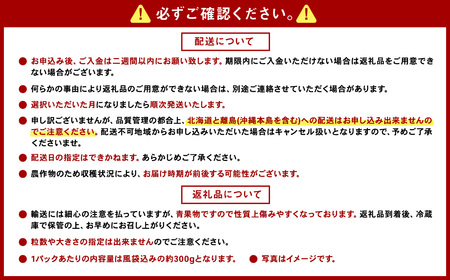 【2025年1月発送】【数量限定300g】 エコファーマー あまおう 約300g×2パック 計600g ／ いちご 苺 イチゴ ベリー 果物 フルーツ お取り寄せ デザート おやつ