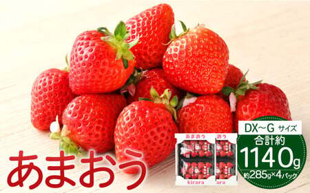 あまおう 約1140g 約285g×4パック いちごファームきらら 冷蔵【ふくおかエコ農産物認証】【2026年2月上旬-3月下旬発送予定】