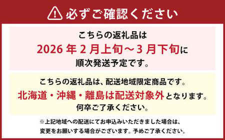 あまおう 約1140g 約285g×4パック いちごファームきらら 冷蔵【ふくおかエコ農産物認証】【2026年2月上旬-3月下旬発送予定】