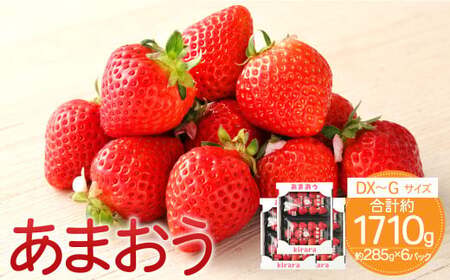 あまおう 約1710g 約285g×6パック いちごファームきらら 冷蔵【ふくおかエコ農産物認証】【2026年2月上旬-3月下旬発送予定】