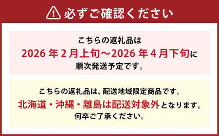 博多あまおう（春） 約250g～270g×2パック 計約500g～540g【2026年2月上旬-4月下旬発送予定】 いちご 苺 イチゴ 果物 フルーツ