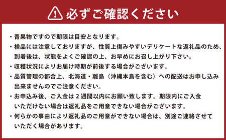 【3回定期便（2・3・4月発送）】博多あまおう 250g～270g × 4パック 【2026年2月上旬-4月下旬発送予定】 あまおう 果物 フルーツ 果実 苺 いちご イチゴ ストロベリー 完熟 新鮮 