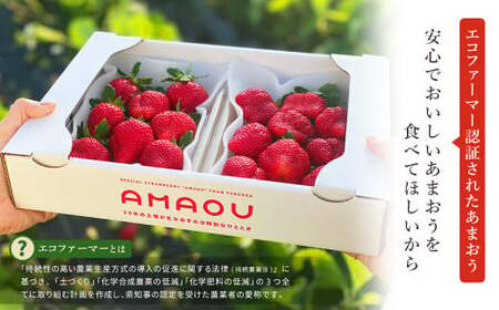 【2026年1月発送】 エコファーマー あまおう 約280g×2パック 計560g ／ いちご 苺 イチゴ ベリー 果物 フルーツ お取り寄せ デザート おやつ