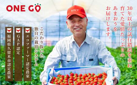 【2026年1月発送】 エコファーマー あまおう 約280g×2パック 計560g ／ いちご 苺 イチゴ ベリー 果物 フルーツ お取り寄せ デザート おやつ