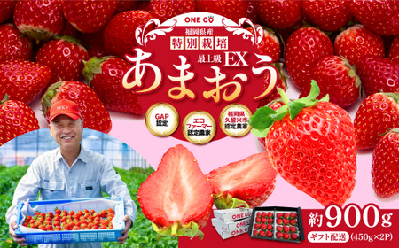 ギフト配送 約450g×2パック 計900g EX 福岡県産 あまおう 特別栽培【2026年1月上旬から3月下旬発送予定】 いちご 苺 イチゴ ベリー 果物 フルーツ お取り寄せ デザート おやつ