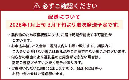 ギフト配送 約450g×2パック 計900g EX 福岡県産 あまおう 特別栽培【2026年1月上旬から3月下旬発送予定】 いちご 苺 イチゴ ベリー 果物 フルーツ お取り寄せ デザート おやつ