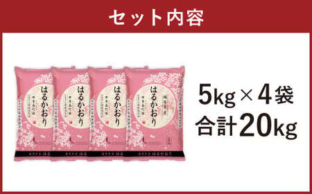 【令和7年産】はるかおり 精米 20kg ／ ふるさと納税限定 ふるさと納税限定品 お米 米 白米 食品 ご飯 飯 九州 福岡県 香春町
