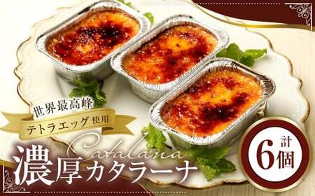 世界最高峰テトラエッグの 濃厚カタラーナ 95g×6個 計570g ／ カタラーナ プリン カラメル デザート 洋菓子 スイーツ お菓子 冷凍