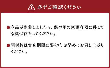 採銅所メンマ 100g×4袋 計400g 2種 各100g×2袋 【2025年7月上旬から2026年2月上旬順次発送予定】 メンマ ピリ辛 タケノコ おつまみ 具 ラーメン パスタ 国産