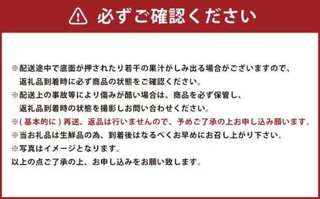 【予約受付 ・ 3回定期便】 あまおう 満喫セット （フレッシュあまおう ・ あまおうジェラート ・ 冷凍あまおう） 【2026年3月上旬～8月発送予定】 苺 いちご 果物 果実 フルーツ ジェラート セット 国産 九州 福岡県 香春町 冷蔵 冷凍