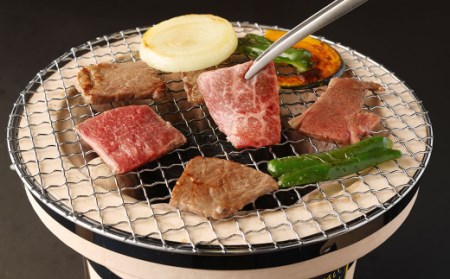【6ヶ月定期便】 堀ちゃん牧場 博多和牛 バラエティ セット 定期便 牛肉 スライス ステーキ