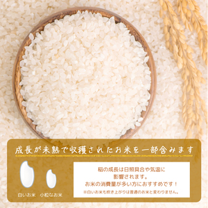 新米 5kg ★訳あり★ ふくめぐみ 新米 [a0819]